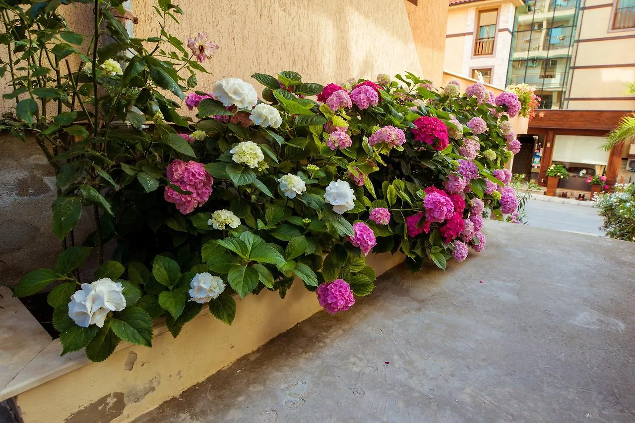 Hotel Orchidea Süzebolu 3*,  Bulgaristan